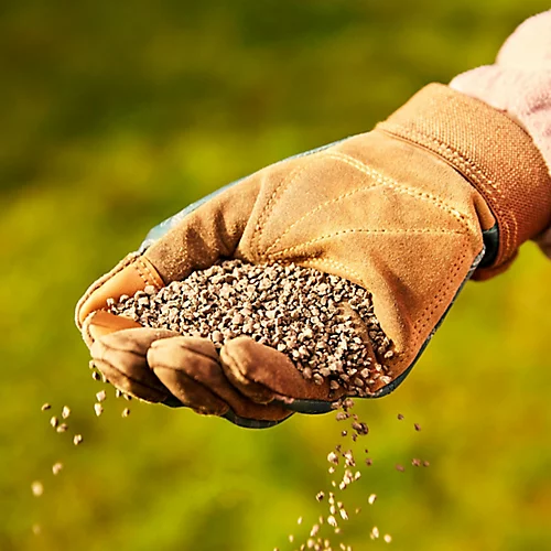 Miracle-Gro Perform Universal Plant Feed Granules 2kg 3 Miracle-Gro Perform Universal Plant Feed Granules 2kg - Image 3