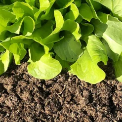 Natural Plant Feed And Soil Conditioner -Outsunny Garden Zone natural plant feed and soil conditioner5060627680042 03c MP