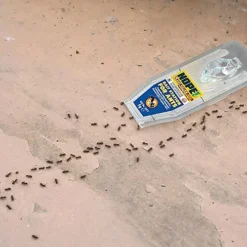 NOPE Ant Killer Bait Station (6 X 5g) Kills Ants & Eradicates Nest For Indoor & Outdoor Use 7 NOPE Ant Killer Bait Station (6 X 5g) Kills Ants & Eradicates Nest For Indoor & Outdoor Use -Outsunny Garden Zone nope ant killer bait station 6 x 5g kills ants eradicates nest for indoor outdoor use5060132765869 04c MP