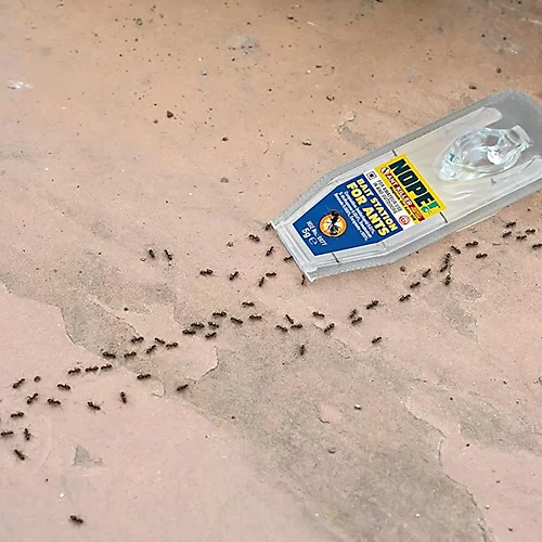 NOPE Ant Killer Bait Station (6 X 5g) Kills Ants & Eradicates Nest For Indoor & Outdoor Use 4 NOPE Ant Killer Bait Station (6 X 5g) Kills Ants & Eradicates Nest For Indoor & Outdoor Use - Image 4