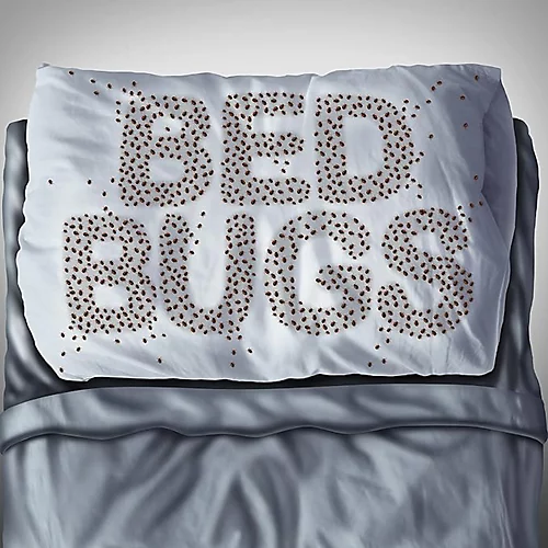 NOPE CP Bed Bug Killer Spray (500ml) Fast-acting, Odourless Repellent And Disinfectant For Effective Bed Bug Control. HSE Approved 2 NOPE CP Bed Bug Killer Spray (500ml) Fast-acting, Odourless Repellent And Disinfectant For Effective Bed Bug Control. HSE Approved - Image 2