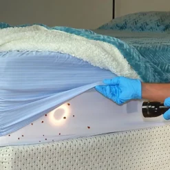 NOPE CP Bed Bug Killer Spray (500ml) Fast-acting, Odourless Repellent And Disinfectant For Effective Bed Bug Control. HSE Approved 6 NOPE CP Bed Bug Killer Spray (500ml) Fast-acting, Odourless Repellent And Disinfectant For Effective Bed Bug Control. HSE Approved -Outsunny Garden Zone nope cp bed bug killer spray 500ml fast acting odourless repellent and disinfectant for effective bed bug control hse approved5060132765999 03c MP