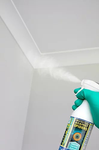 NOPE Spider Killer Spray Repellent - 5 Litres - Kills On Contact, Residual Action. Odourless, Non-Staining. HSE Registered 2 NOPE Spider Killer Spray Repellent - 5 Litres - Kills On Contact, Residual Action. Odourless, Non-Staining. HSE Registered - Image 2