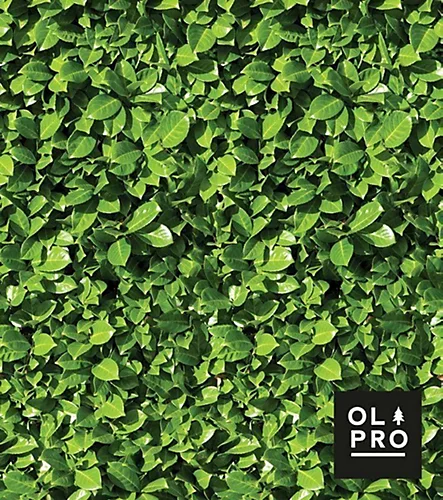 OLPRO Laurel Hedge 5 Pole Windbreak (Wooden Poles) 2 OLPRO Laurel Hedge 5 Pole Windbreak (Wooden Poles) - Image 2