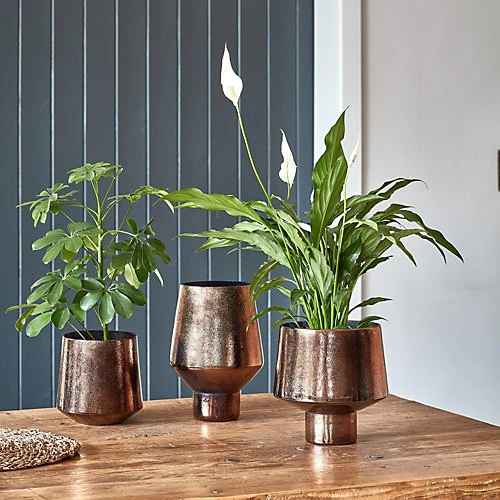 Opulent Curved Metallic Bronze Planter H22Cm W20Cm 1 Opulent Curved Metallic Bronze Planter H22Cm W20Cm