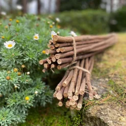 Pack Of 20 Willow Pea & Bean Support Sticks (120cm) 6 Pack Of 20 Willow Pea & Bean Support Sticks (120cm) -Outsunny Garden Zone pack of 20 willow pea bean support sticks 120cm 5060575105505 03c MP