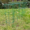 Pack Of 5 Conical Garden Plant Support Rings (60cm)