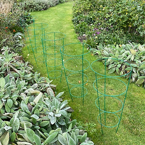 Pack Of 5 Conical Garden Plant Support Rings (75cm) 1 Pack Of 5 Conical Garden Plant Support Rings (75cm)