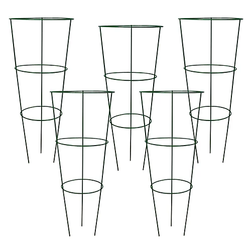 Pack Of 5 Conical Garden Plant Support Rings (75cm) 2 Pack Of 5 Conical Garden Plant Support Rings (75cm) - Image 2