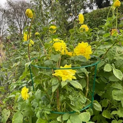 Pack Of 5 Conical Garden Plant Support Rings (75cm) 6 Pack Of 5 Conical Garden Plant Support Rings (75cm) -Outsunny Garden Zone pack of 5 conical garden plant support rings 75cm 5060266597152 03c MP