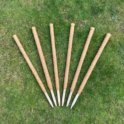 Pack Of 6 Coco Fibre Palm Stick Plant Supports (80cm)