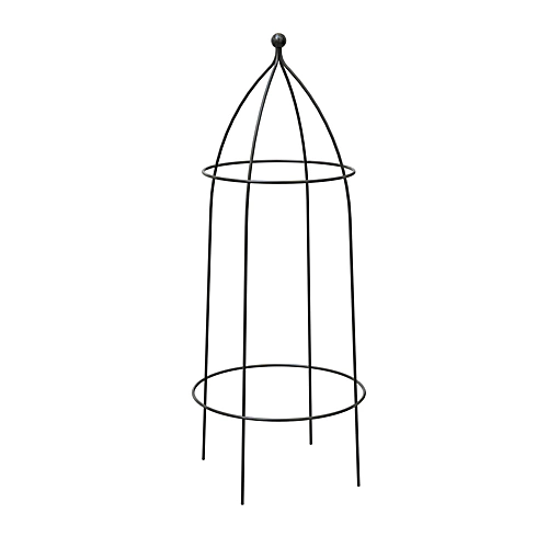 Panacea Cloche (H)75cm 1 Panacea Cloche (H)75cm