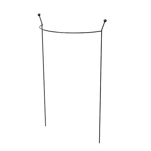 Panacea Steel Curved Plant Support (L)76cm (Dia)46cm 1 Panacea Steel Curved Plant Support (L)76cm (Dia)46cm