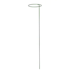 Panacea Steel Single Stem Plant Support (L)122cm (Dia)20.3cm, Pack Of 3