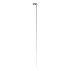 Panacea Steel Single Stem Plant Support (L)122cm (Dia)8.6cm, Pack Of 3