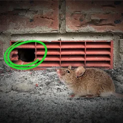 Pest Proofing Air Brick Cover By MouseMesh - Medium Black 255mm(W) X 180mm(H) -Outsunny Garden Zone pest proofing air brick cover by mousemesh medium black 255mm w x 180mm h 5060271900046 06c MP