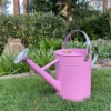 Pink Metal & Chrome Watering Can (3.5 Litre)