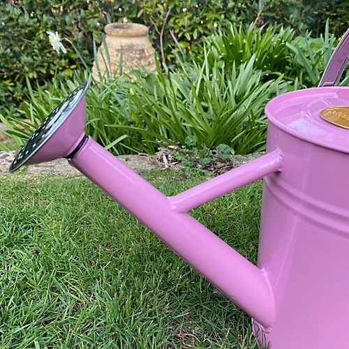 Pink Metal & Chrome Watering Can (3.5 Litre) 2 Pink Metal & Chrome Watering Can (3.5 Litre) - Image 2