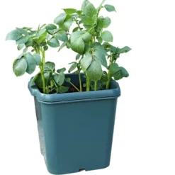 Potato Gro-Pot Patio Vegetable Patio Planter - Single 7 Potato Gro-Pot Patio Vegetable Patio Planter - Single -Outsunny Garden Zone potato gro pot patio vegetable patio planter single5019226032394 04c MP