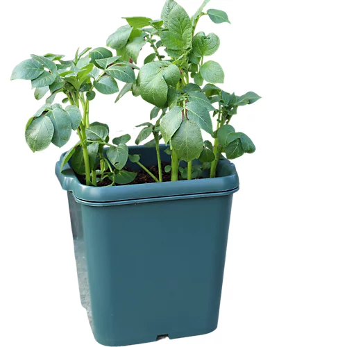 Potato Gro-Pot Patio Vegetable Patio Planter - Single 4 Potato Gro-Pot Patio Vegetable Patio Planter - Single - Image 4