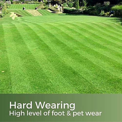 Premium Hard Wearing Grass Seed 5kg (70-200m²) 2 Premium Hard Wearing Grass Seed 5kg (70-200m²) - Image 2