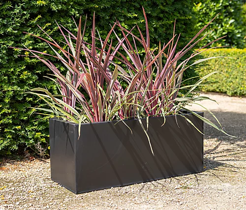 Primrose Gunmetal Black Galvanised Zinc Rectangular Garden Planter Plant Pot Large 75cm X 32cm 1 Primrose Gunmetal Black Galvanised Zinc Rectangular Garden Planter Plant Pot Large 75cm X 32cm