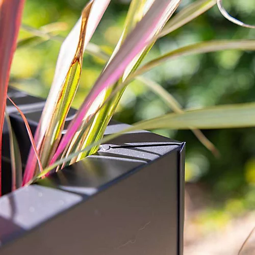 Primrose Gunmetal Black Galvanised Zinc Rectangular Garden Planter Plant Pot Large 75cm X 32cm 2 Primrose Gunmetal Black Galvanised Zinc Rectangular Garden Planter Plant Pot Large 75cm X 32cm - Image 2