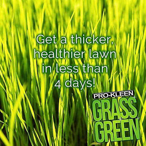 Pro-Kleen Grass Green Lawn Fertiliser 5KG - Professional Grass Fertiliser For Thick Green Grass 2 Pro-Kleen Grass Green Lawn Fertiliser 5KG - Professional Grass Fertiliser For Thick Green Grass - Image 2