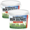 Pro-Kleen Iron Sulphate Spreader Granules, Covers Up To 100m2, For Grass Green Up, Ferrous Sulphate Dry Powder 2x 2.5kg