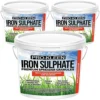Pro-Kleen Iron Sulphate Spreader Granules, Covers Up To 100m2, For Grass Green Up, Ferrous Sulphate Dry Powder 3x2.5kg