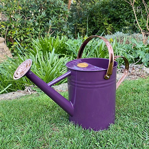Purple Heather Metal & Copper Watering Can (3.5 Litre) 1 Purple Heather Metal & Copper Watering Can (3.5 Litre)