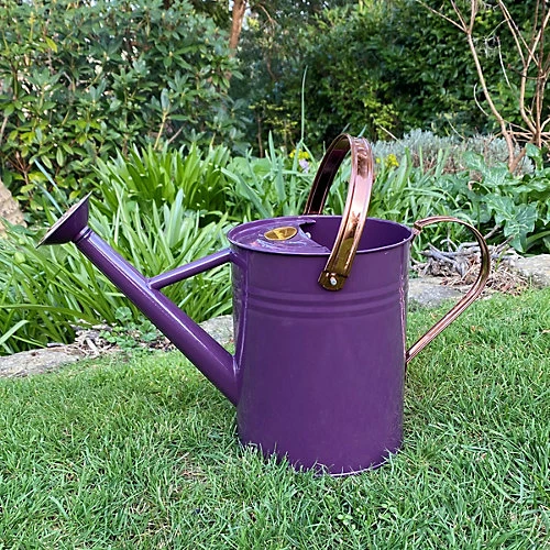 Purple Heather Metal & Copper Watering Can (3.5 Litre) 2 Purple Heather Metal & Copper Watering Can (3.5 Litre) - Image 2