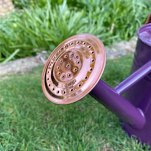 Purple Heather Metal & Copper Watering Can (3.5 Litre) 3 Purple Heather Metal & Copper Watering Can (3.5 Litre) - Image 3