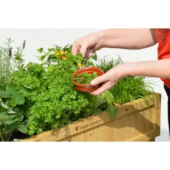 Raised Garden Bed Planter - Herb Garden - Natural (FSC 100%) -Outsunny Garden Zone raised garden bed planter herb garden natural fsc 100 4975149860272 03c MP
