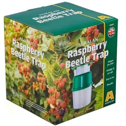 Raspberry Beetle Natural Pheromone Trap