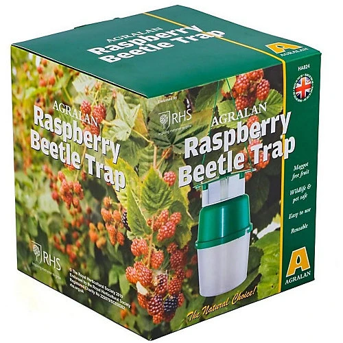 Raspberry Beetle Natural Pheromone Trap 1 Raspberry Beetle Natural Pheromone Trap