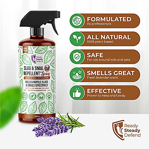 Ready Steady Defend Natural Slug & Snail Repellent Spray 200ml 2 Ready Steady Defend Natural Slug & Snail Repellent Spray 200ml - Image 2
