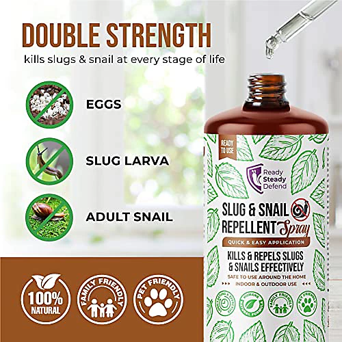 Ready Steady Defend Natural Slug & Snail Repellent Spray 200ml 4 Ready Steady Defend Natural Slug & Snail Repellent Spray 200ml - Image 4