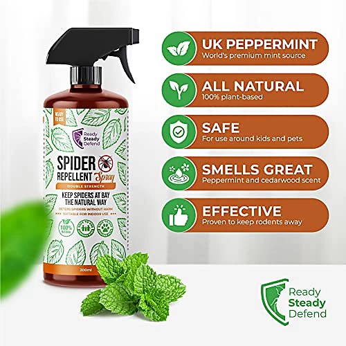 Ready Steady Defend Natural Spider Repellent Spray 200ml 2 Ready Steady Defend Natural Spider Repellent Spray 200ml - Image 2