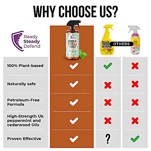 Ready Steady Defend Natural Spider Repellent Spray 200ml 3 Ready Steady Defend Natural Spider Repellent Spray 200ml - Image 3