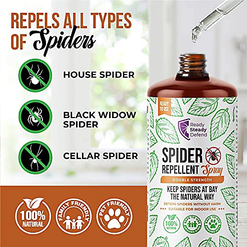 Ready Steady Defend Natural Spider Repellent Spray 200ml 4 Ready Steady Defend Natural Spider Repellent Spray 200ml - Image 4