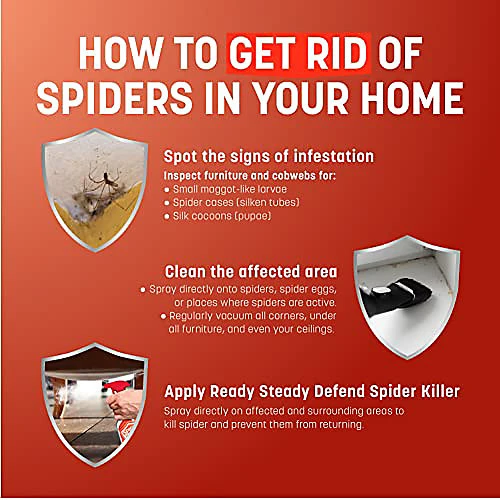 Ready Steady Defend Spider Killer & Repellent Spray 1 Litre 3 Ready Steady Defend Spider Killer & Repellent Spray 1 Litre - Image 3