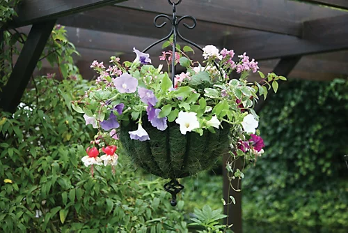 Samuel Alexander Black Metal Spanish Garden Flower Wall Hanging Basket Large 35cm 14 Inch - Without Bracket 2 Samuel Alexander Black Metal Spanish Garden Flower Wall Hanging Basket Large 35cm 14 Inch - Without Bracket - Image 2