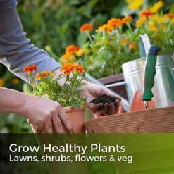 Seaweed Plus 1L - Organic Bio-Stimulant -Outsunny Garden Zone seaweed plus 1l organic bio stimulant5065007977842 03c MP