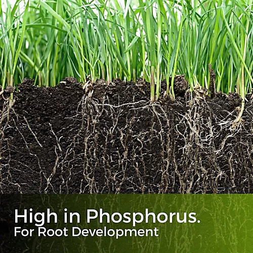 Seed Start & Pre Turf Fertiliser 4.7kg (190m2) 4 Seed Start & Pre Turf Fertiliser 4.7kg (190m2) - Image 4