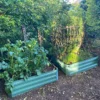 Set Of 2 X Metal Raised Vegetable Beds In Green (100cm X 30cm)
