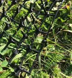 Set Of 2 X Plant Prickle Strip Dig Stopper Anti Dog And Cat Protection (2m X 30cm) 6 Set Of 2 X Plant Prickle Strip Dig Stopper Anti Dog And Cat Protection (2m X 30cm) -Outsunny Garden Zone set of 2 x plant prickle strip dig stopper anti dog and cat protection 2m x 30cm 5060575108285 03c MP