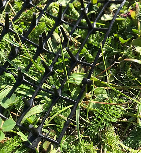 Set Of 2 X Plant Prickle Strip Dig Stopper Anti Dog And Cat Protection (2m X 30cm) 3 Set Of 2 X Plant Prickle Strip Dig Stopper Anti Dog And Cat Protection (2m X 30cm) - Image 3