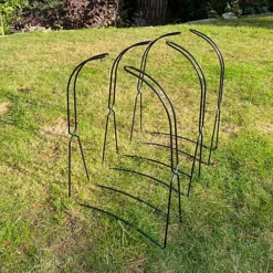 Set Of 3 Growbag Cane Frame Supports