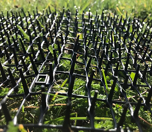 Set Of 3 X Plant Prickle Strip Dig Stopper Anti Dog And Cat Protection (2m X 30cm) 2 Set Of 3 X Plant Prickle Strip Dig Stopper Anti Dog And Cat Protection (2m X 30cm) - Image 2